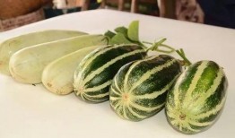 网红吃瓜爆料群,幕后真相大曝光